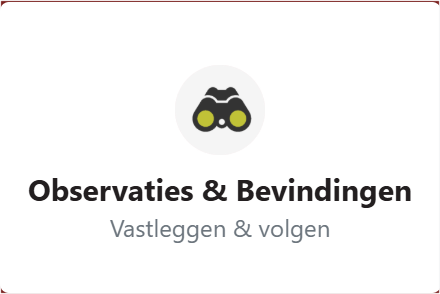 menu observaties bevindingen